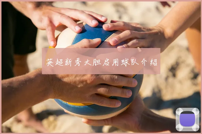 英超新秀大胆启用球队介绍