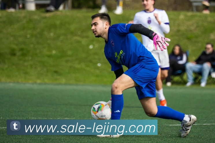 App Interface Preview